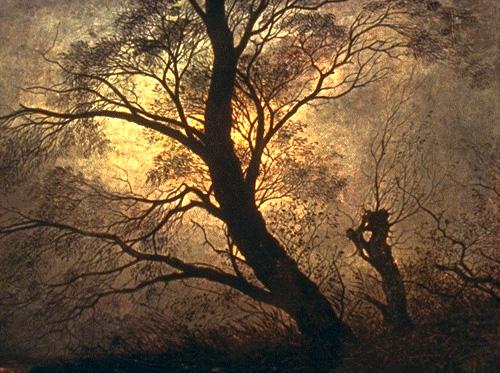 Trees in the moonlight, Caspar David Friedrich